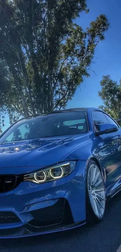 Blue sports car in scenic outdoor setting with clear sky.