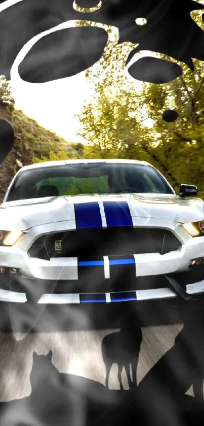 Sporty car with stripes on scenic road with nature.