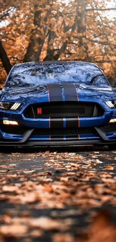 Blue sports car on leaf-covered forest road.