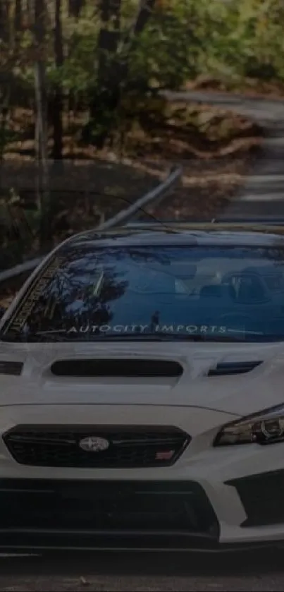 Sporty car driving on a peaceful forest road.