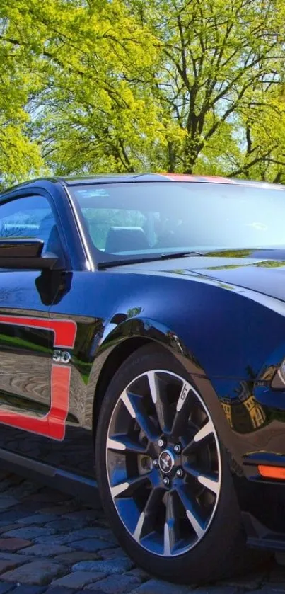 Sleek sports car on a vibrant green scenic drive.