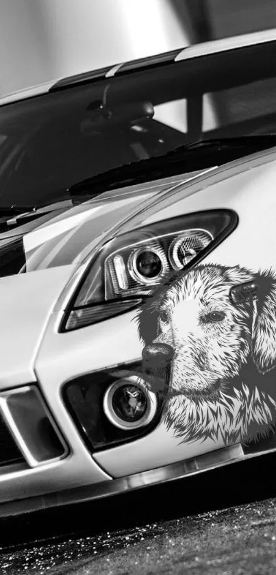 Black and white car with dog sketch on hood.