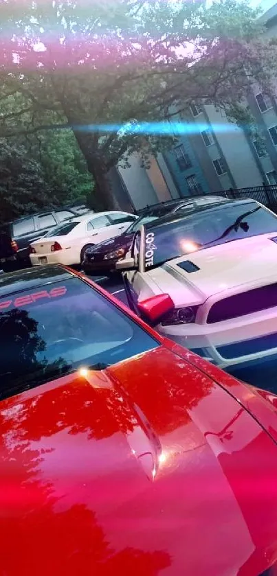 Red and white sports cars parked in urban area at sunset.