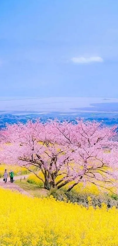 Cherry blossom tree in yellow field under blue sky.