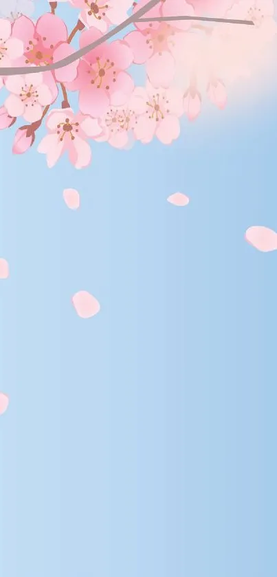 Cherry blossom branches with pink flowers on a blue sky background.