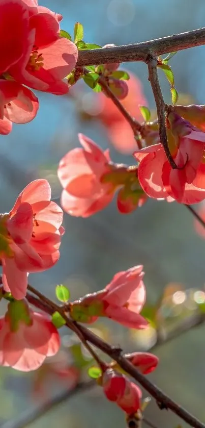 Vibrant spring blossom branches with a clear sky backdrop.