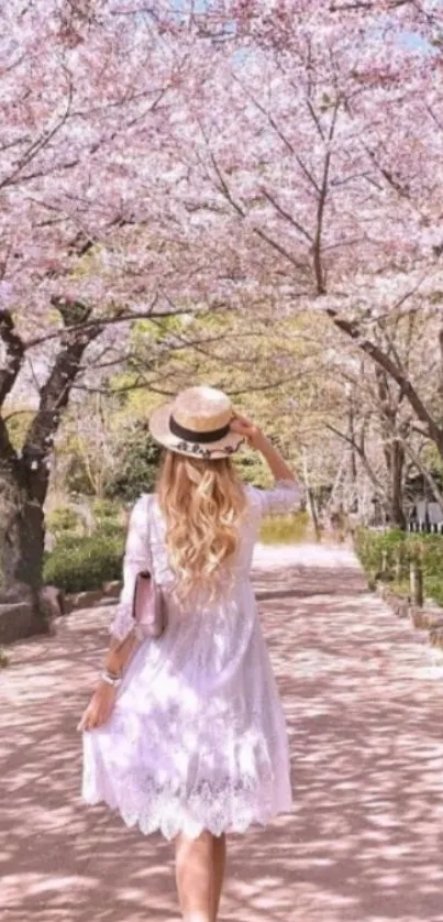 Woman walking under cherry blossom trees in spring.