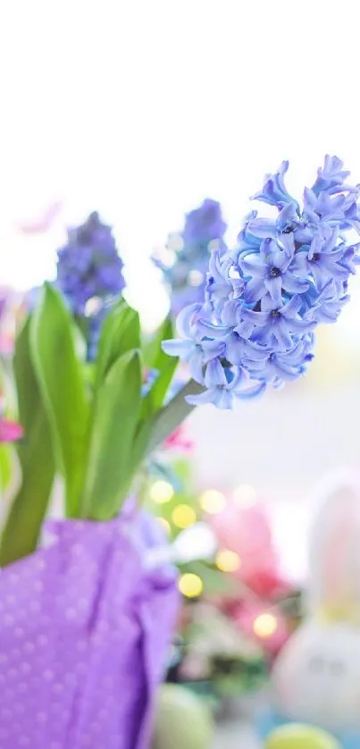 Blue hyacinth flower with vibrant colors.