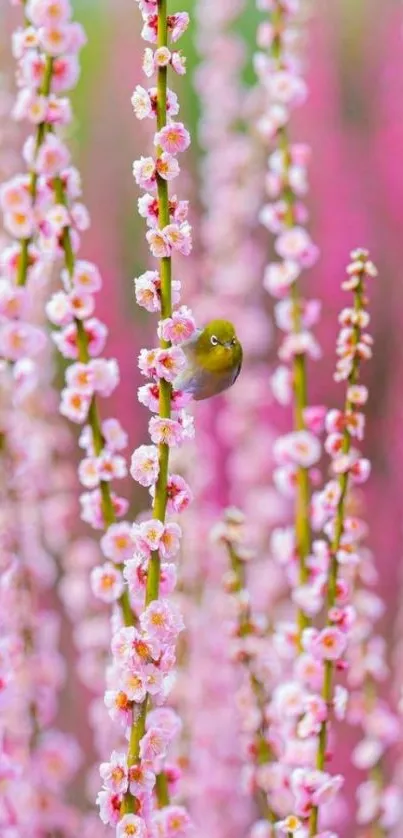 Mobile wallpaper of pink blossoms with a bird perched among them.