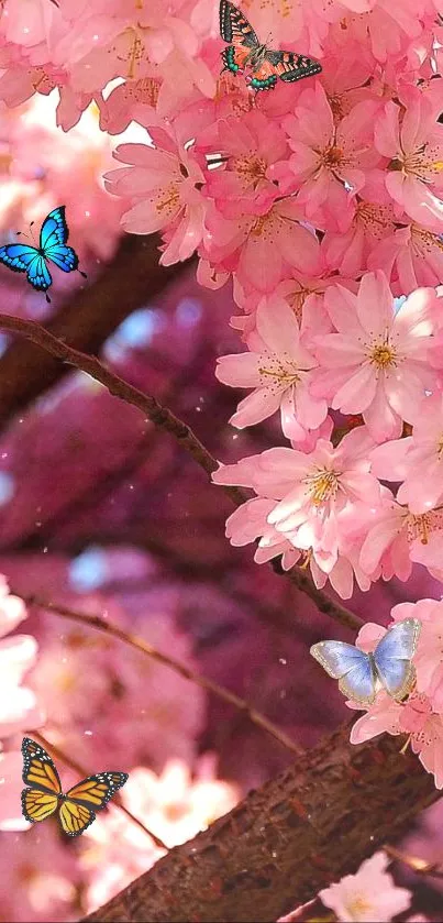 Pink cherry blossoms with colorful butterflies on branches.