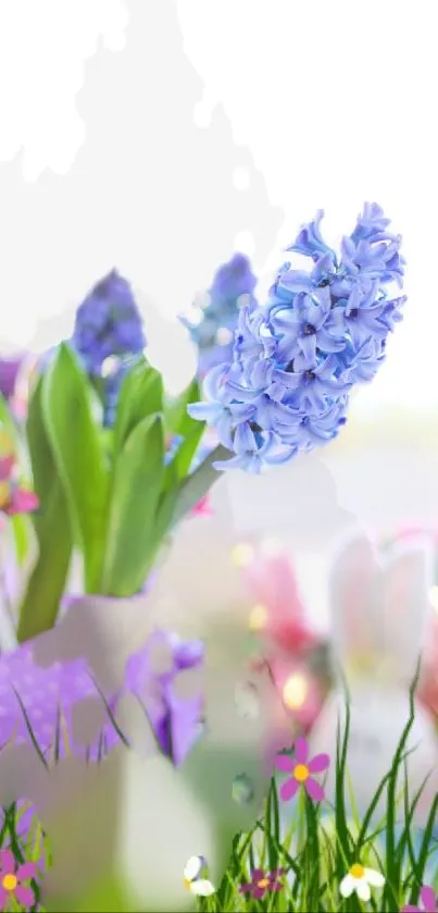 Vibrant purple hyacinths and spring flowers create a lively mobile wallpaper.