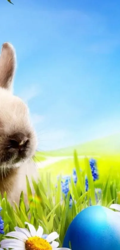 Cute bunny and flowers under a blue sky.