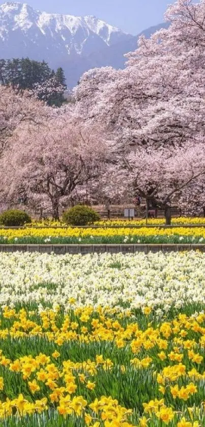 Mobile wallpaper with cherry blossoms and mountain view.