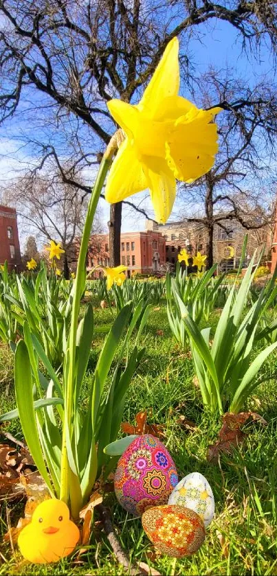 Yellow daffodil with Easter eggs in garden scene wallpaper.