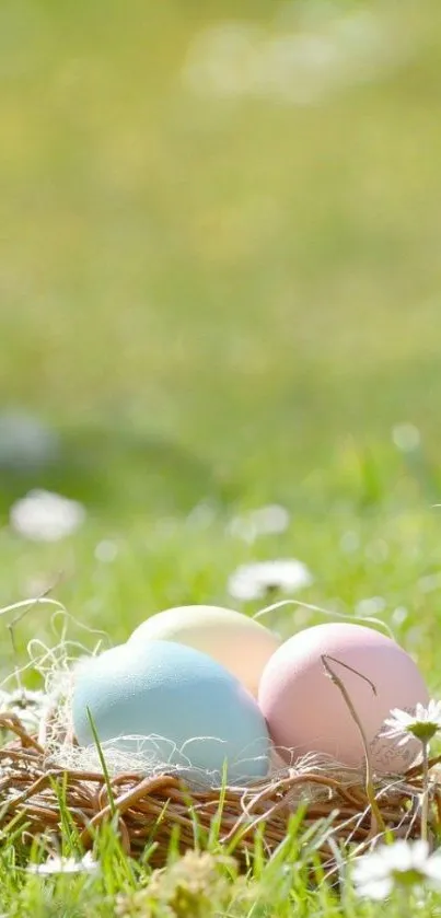 Pastel-colored eggs in a nest on green grass.