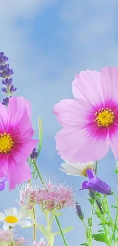 Colorful spring flowers with a clear blue sky background.