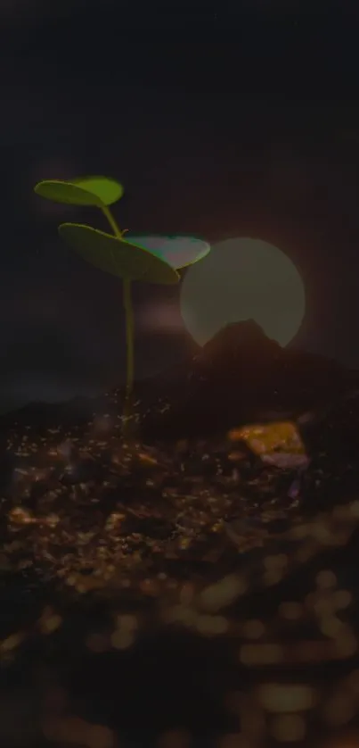 Sprout illuminated by moonlight on a dark background, evoking tranquility.