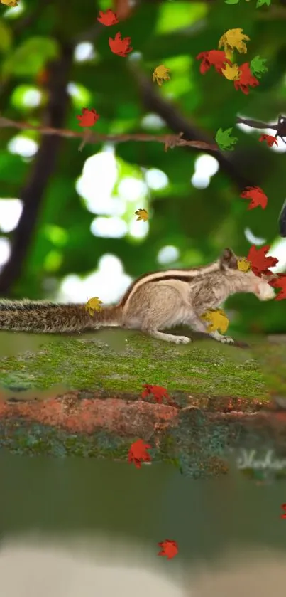 Squirrel on branch with vibrant fall leaves.