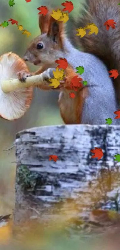 Squirrel and bird in forest with mushroom.