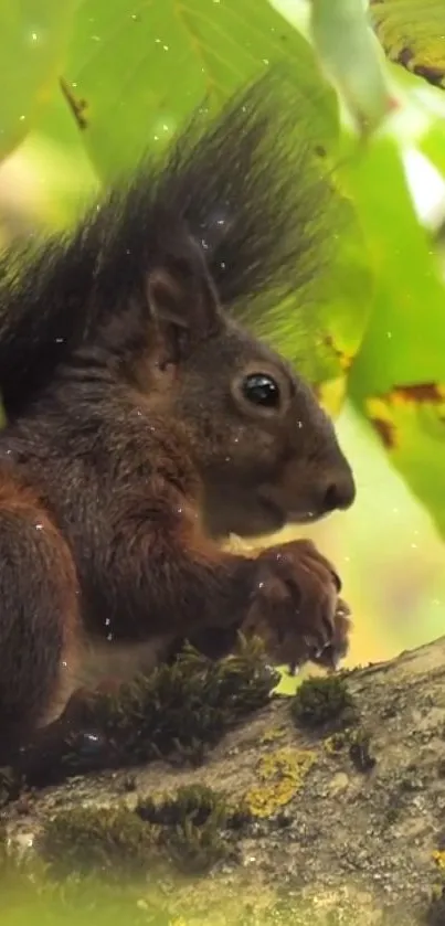 Squirrel resting on a tree with green leaves in the background.