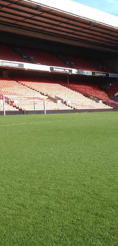 Stadium with green grass and vibrant red seats perfect for mobile wallpaper.