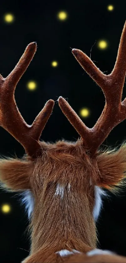 Back view of a stag under a starry night sky with glowing orbs.