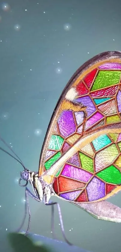 Stained glass butterfly with vibrant colors on a teal background.