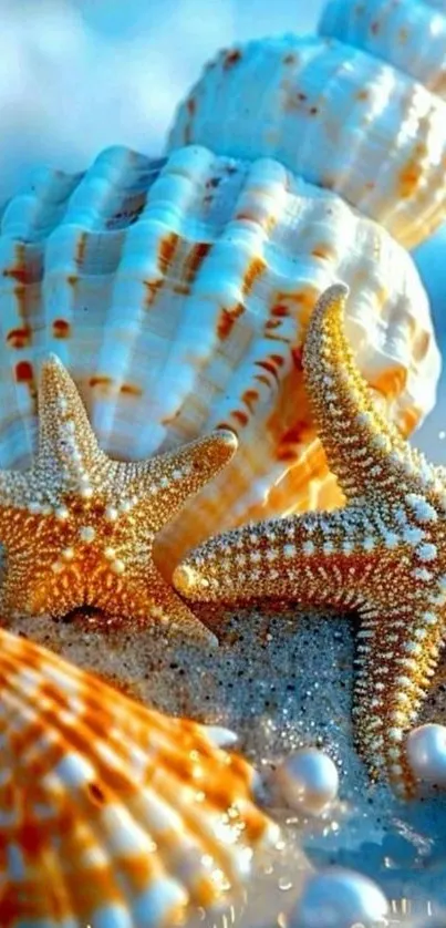Starfish and seashells on a sandy beach with ocean waves.
