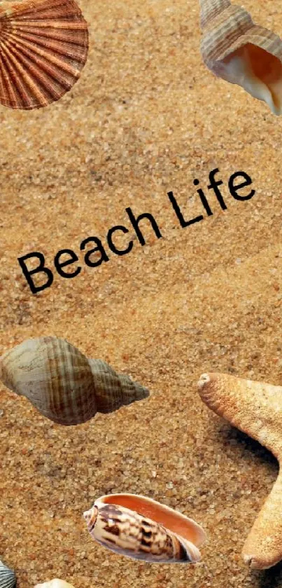 Beach Life wallpaper with sand, seashells, and a starfish.