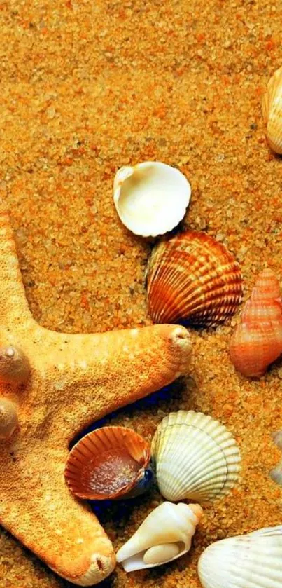 Starfish and seashells on sandy beach wallpaper.