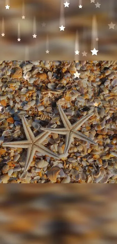 Mobile wallpaper featuring starfish on a beach with shells and a starry sky.