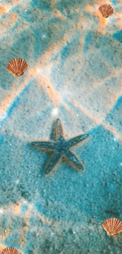 Turquoise starfish and seashell wallpaper design.
