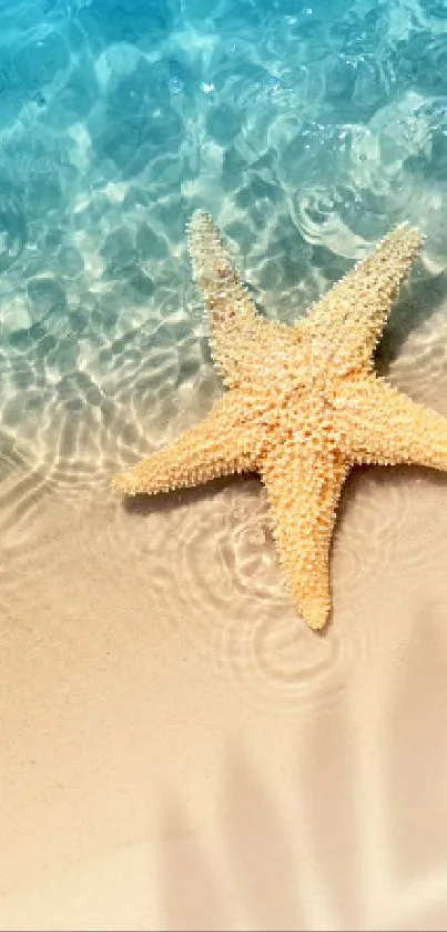 Serene mobile wallpaper with a starfish on a sandy beach and gentle ocean waves.