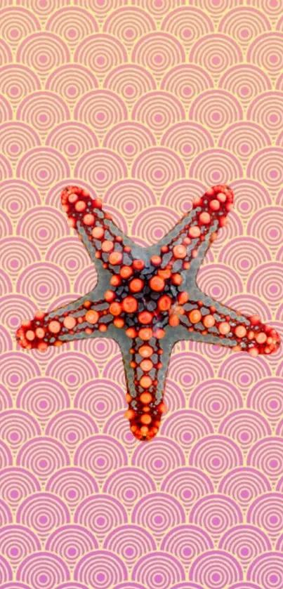 Starfish on a vibrant, geometric patterned background in pink hues.