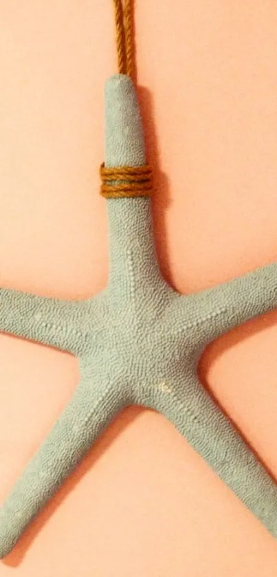 A textured starfish hangs against a soft pink background, perfect for mobile wallpaper.