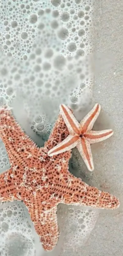 Starfish resting on a sandy beach with foaming ocean waves.