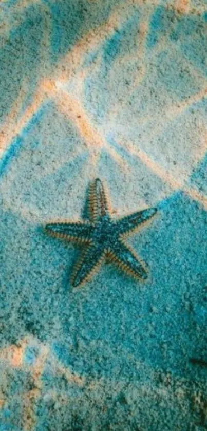 Blue sandy beach with starfish wallpaper.