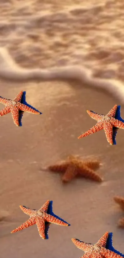 Starfish on a sandy beach mobile wallpaper.