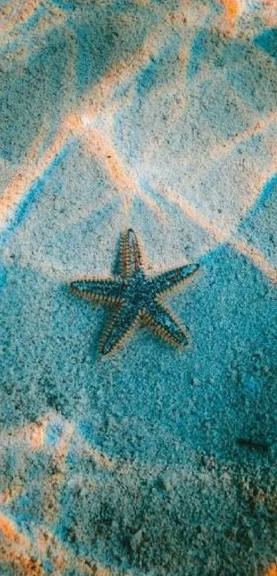 Starfish resting on a sandy ocean floor with turquoise and orange hues.