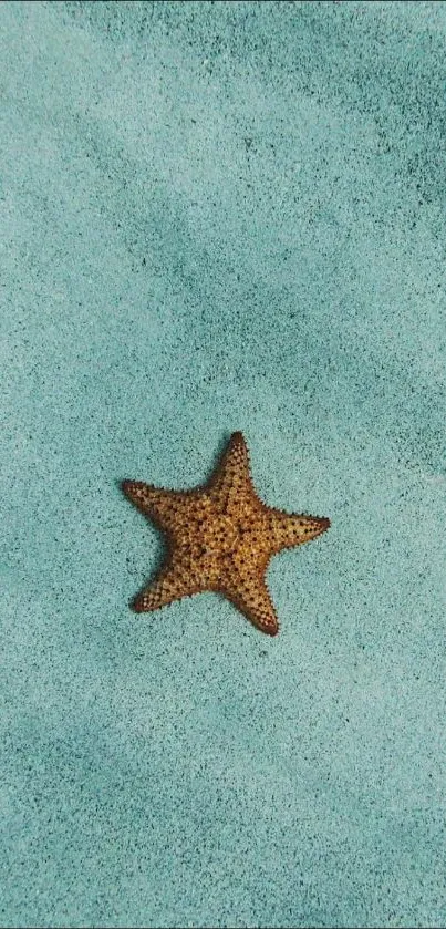 Starfish resting on turquoise sand texture.