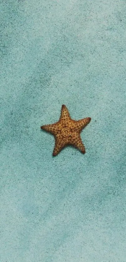 Starfish on turquoise sand mobile wallpaper.