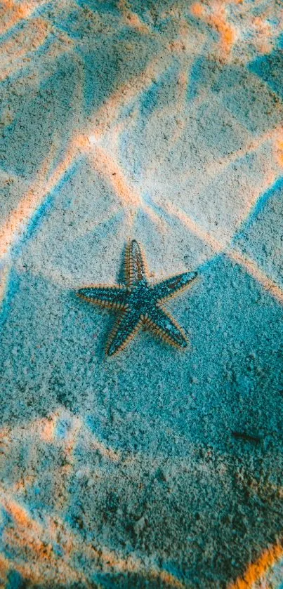 Starfish on sandy seabed with aqua hues.