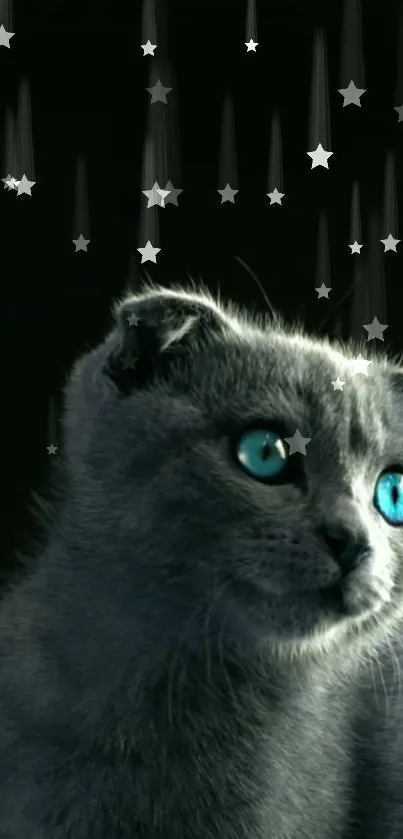 Gray cat with blue eyes under a starry night sky wallpaper.