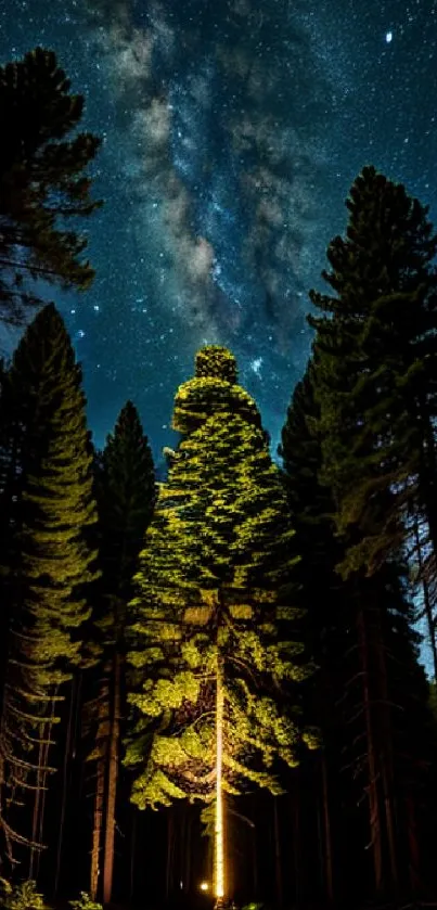 Starlit forest with illuminated trees under a dark blue sky.