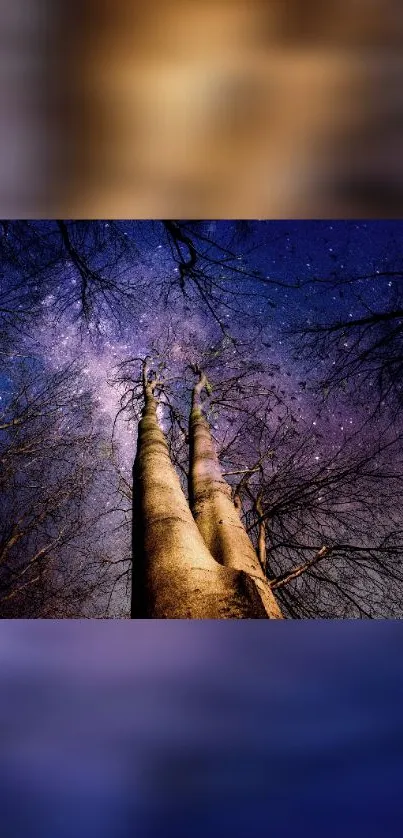 Starlit forest nightscape with galaxy sky