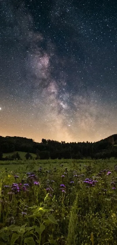 Enchanting starlit sky above lavender fields under a starry, dark blue night.