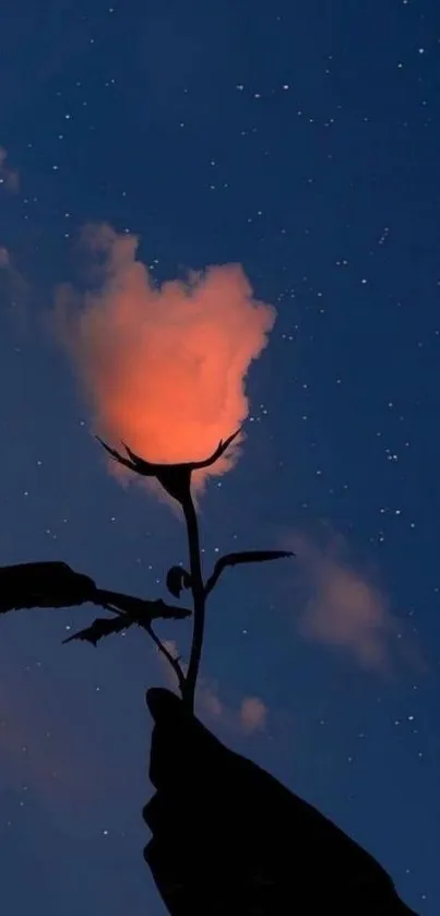 Silhouetted rose against a starlit night sky with glowing clouds.