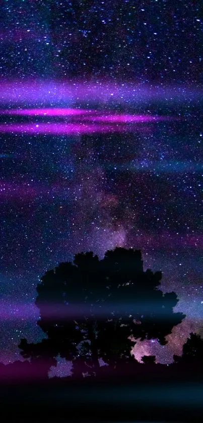 Starlit night sky with silhouette trees in a purple and blue cosmic display.