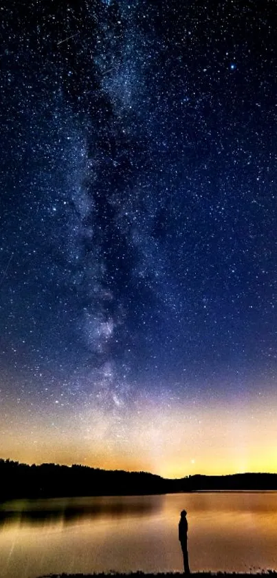 Silhouette against a starry night sky with Milky Way.