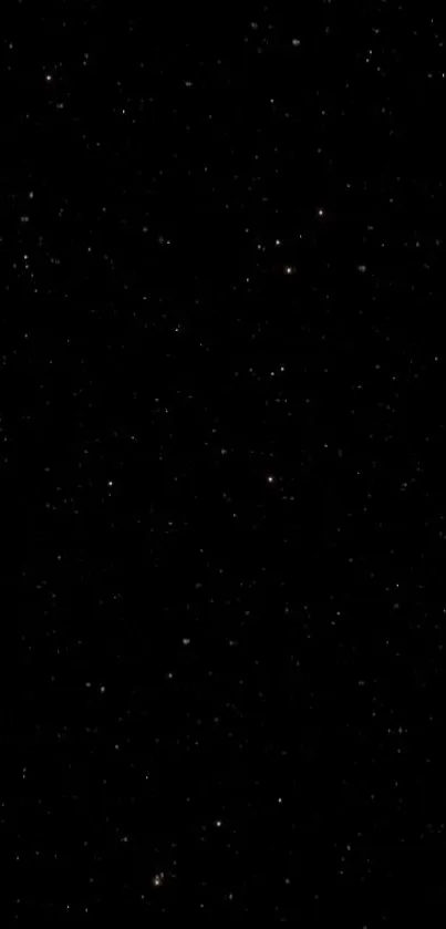 Starlit night sky wallpaper with stars on a black background.